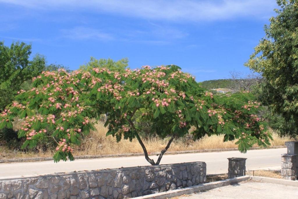 Apartments With A Parking Space Sali, Dugi Otok - 8172 Luaran gambar